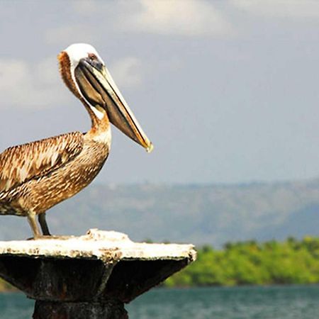 Paraiso Cano Hondo Los Guineos Perdidos Exterior foto