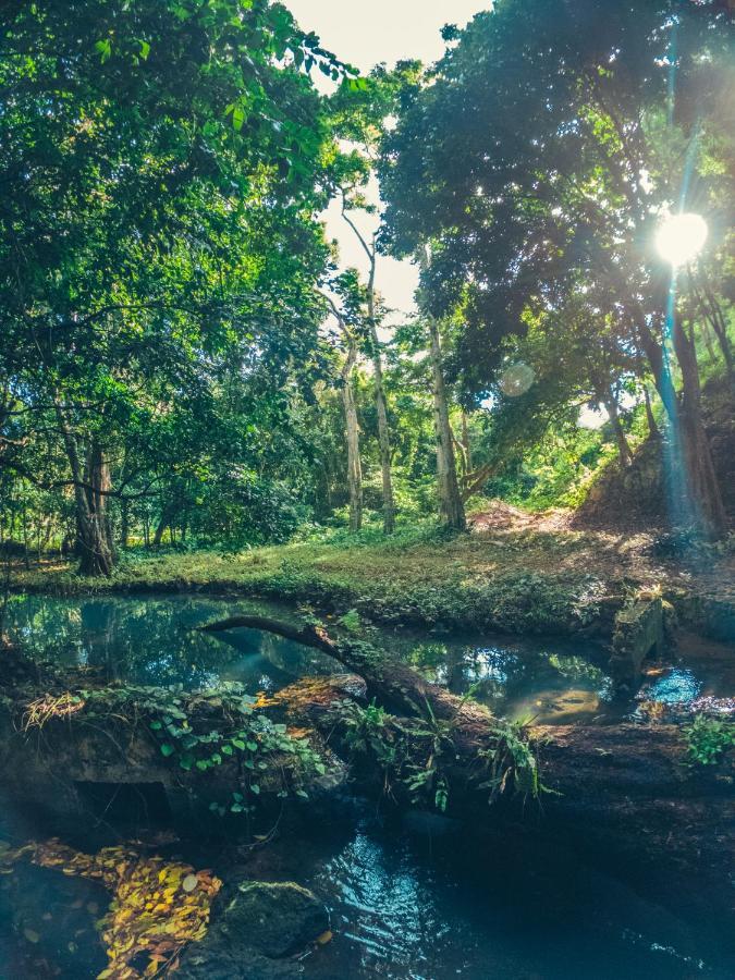 Paraiso Cano Hondo Los Guineos Perdidos Exterior foto