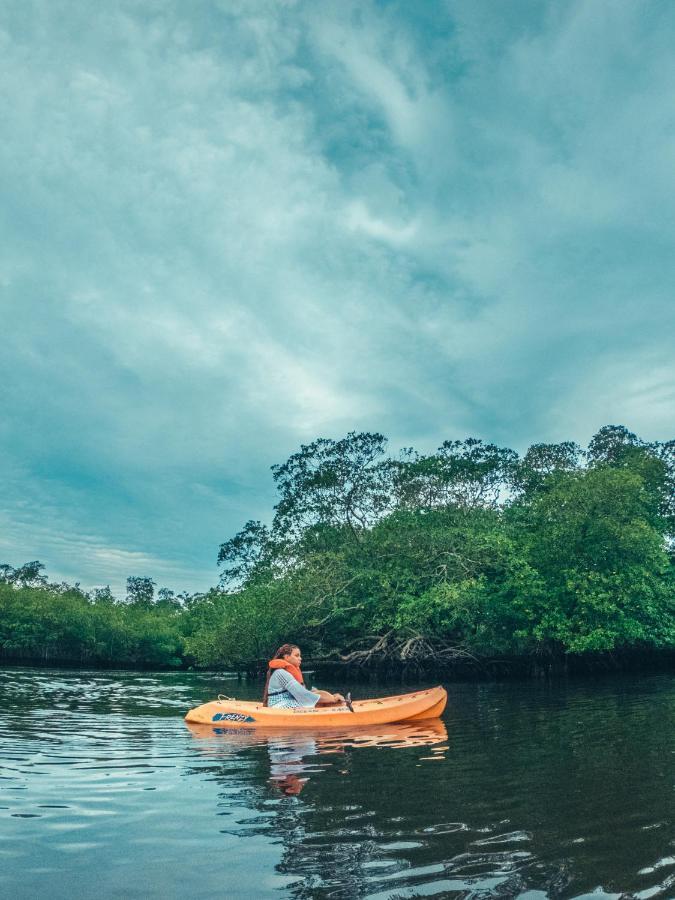 Paraiso Cano Hondo Los Guineos Perdidos Exterior foto
